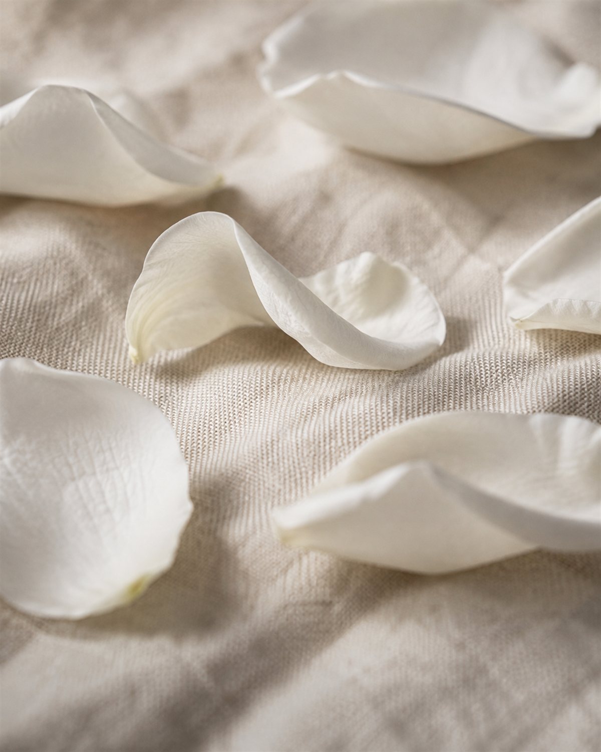 White Gardenia